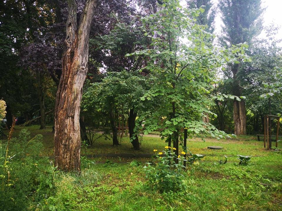 Apartament Wroblewski Appartement Gdańsk Buitenkant foto